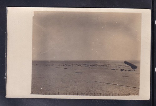 Photo photograph colonies - photo,