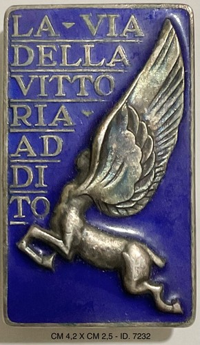 Aircraft director badge school - aircraft,