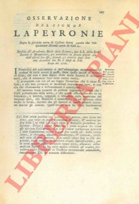 Peyronie observation over - peyronie,