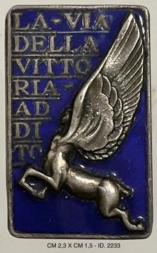 Aircraft director badge - director,