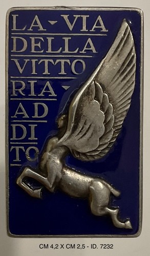 Aircraft director badge - aircraft,